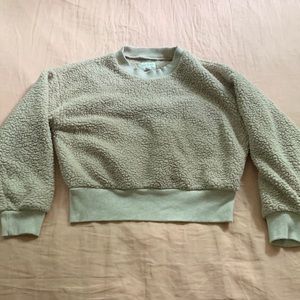 Teddy cropped AE sweatshirt